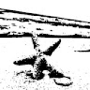 Meet your Posher, Evelyn